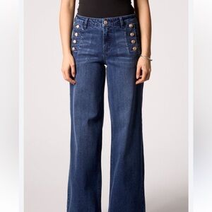 Anthropologie Pilcro Blue Wide-Leg Jeans High Rise Size 28 Button Front